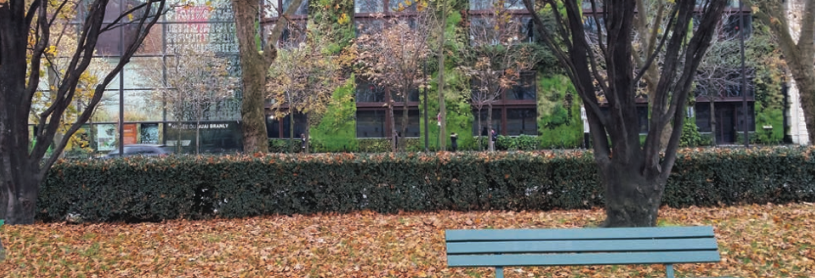 diseno-de-piso-biofilico-hospitales3